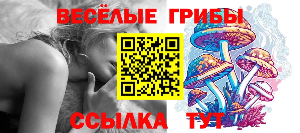 Галлюциногенные грибы прущие грибы Тавда