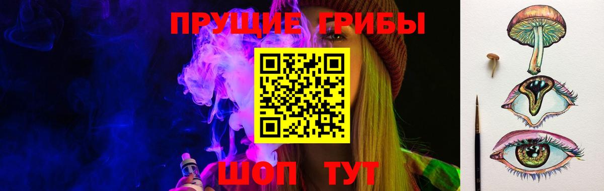 закладки  Псилоцибиновые грибы MAGIC MUSHROOMS  Галлюциногенные грибы GOLDEN TEACHER  Вход с VPN  Тавда 